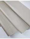 Feather Gray Ostrich 2024 Embossed Texture Leather