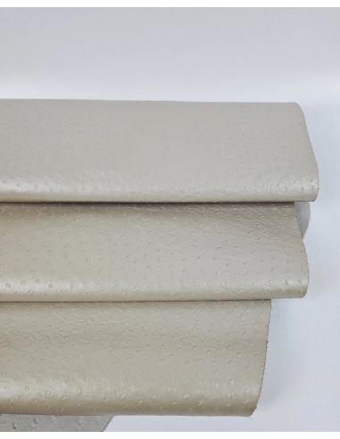 Feather Gray Ostrich 2024 Embossed Texture Leather