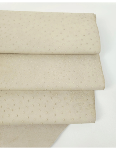 Castle Wall Ostrich 2024 Embossed Texture Leather