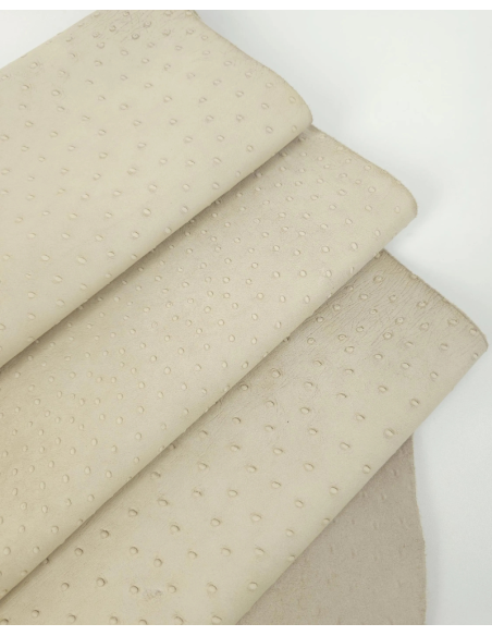 Castle Wall Ostrich 2024 Embossed Texture Leather