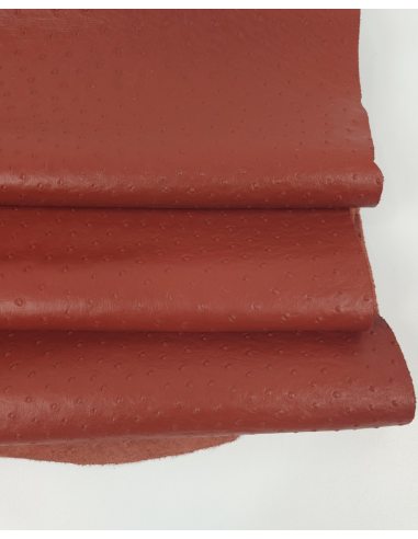 Burnt Brick Ostrich 2024 Embossed Texture Leather