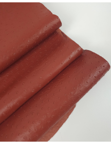Burnt Brick Ostrich 2024 Embossed Texture Leather