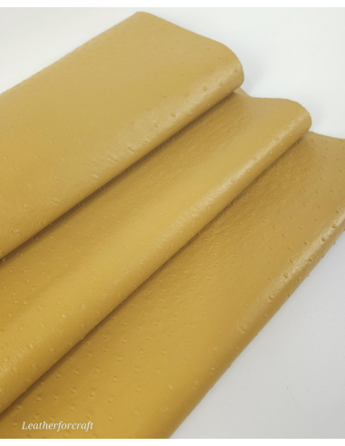 Honey Mustard Ostrich 2024 Embossed Texture Leather