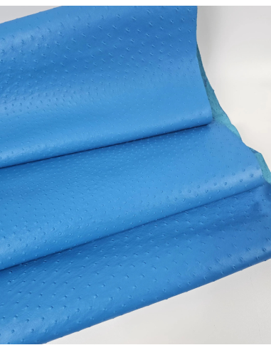 Blue Danube Ostrich 2024 Embossed Texture Leather