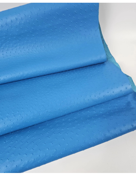 Blue Danube Ostrich 2024 Embossed Texture Leather