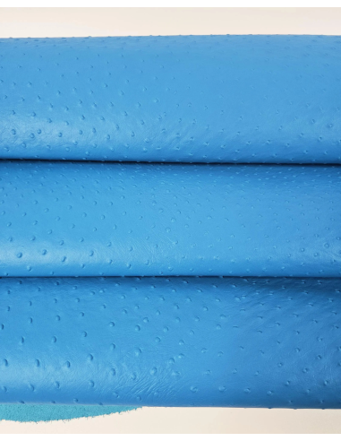 Blue Danube Ostrich 2024 Embossed Texture Leather