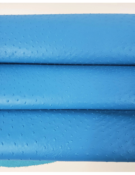Blue Danube Ostrich 2024 Embossed Texture Leather
