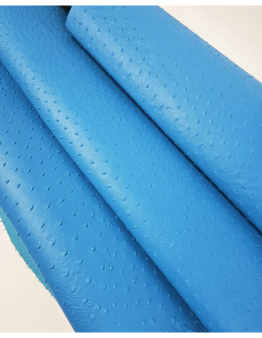 Blue Danube Ostrich 2024 Embossed Texture Leather