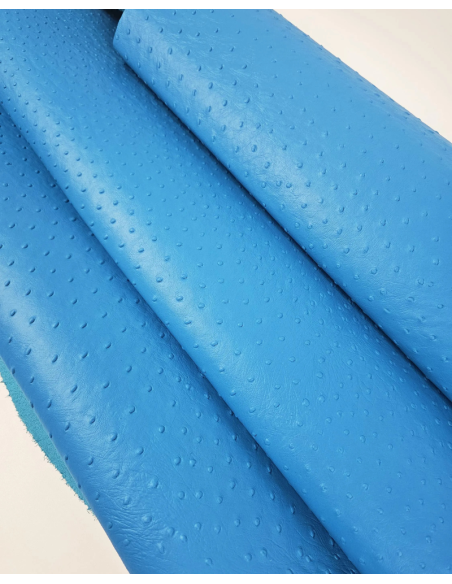 Blue Danube Ostrich 2024 Embossed Texture Leather