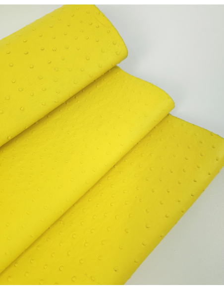 Illuminating Ostrich 2024 Embossed Texture Leather