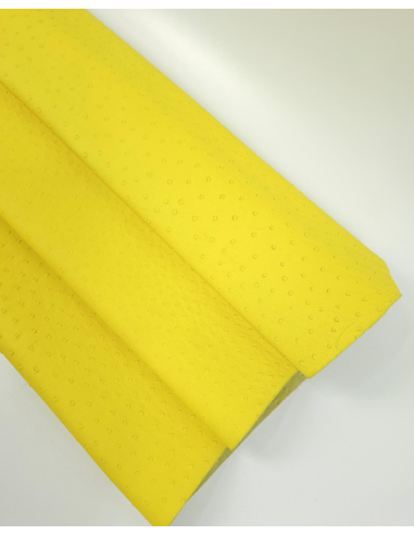Illuminating Ostrich 2024 Embossed Texture Leather