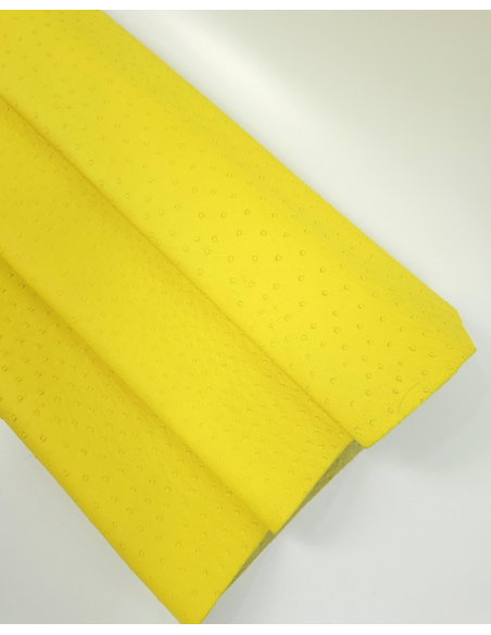 Illuminating Ostrich 2024 Embossed Texture Leather