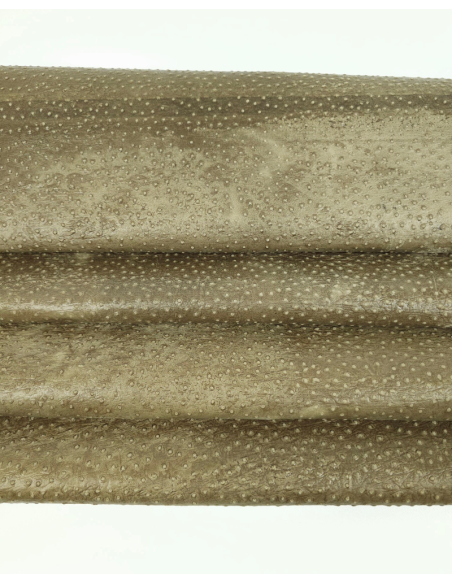 Antique Bronze Ostrich 2023 Embossed Texture Leather