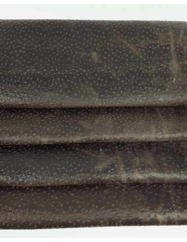 Coffee Quartz Ostrich 2023 Embossed Texture Leather