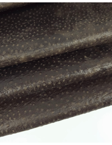 Coffee Quartz Ostrich 2023 Embossed Texture Leather