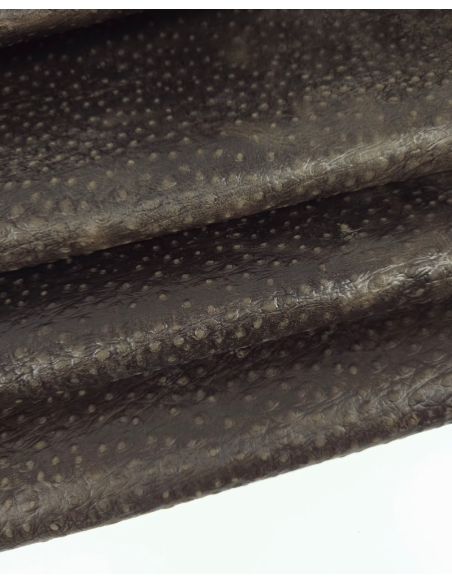 Coffee Quartz Ostrich 2023 Embossed Texture Leather