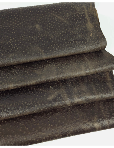 Coffee Quartz Ostrich 2023 Embossed Texture Leather