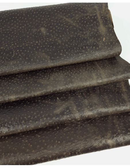 Coffee Quartz Ostrich 2023 Embossed Texture Leather