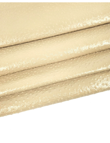 Brown Rice Ostrich 2023 Embossed Texture Leather