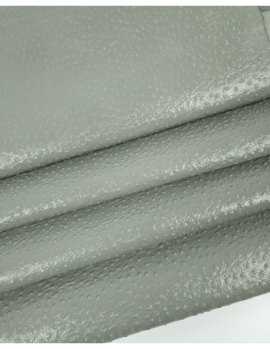 Forest Fog Ostrich 2023 Embossed Texture Leather