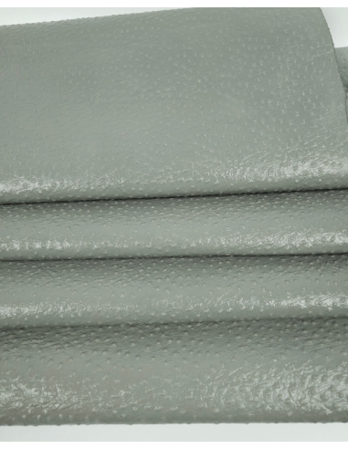 Forest Fog Ostrich 2023 Embossed Texture Leather