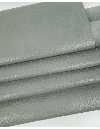 Forest Fog Ostrich 2023 Embossed Texture Leather