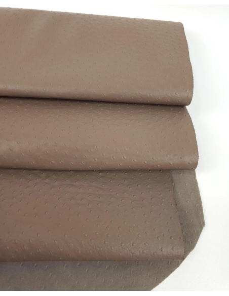 Taupe Gray Ostrich 2024 Embossed Texture Leather