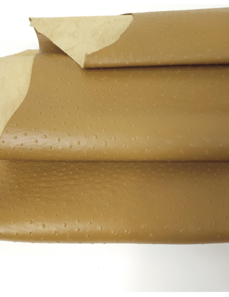 Wood Trush Ostrich 2024 Embossed Texture Leather