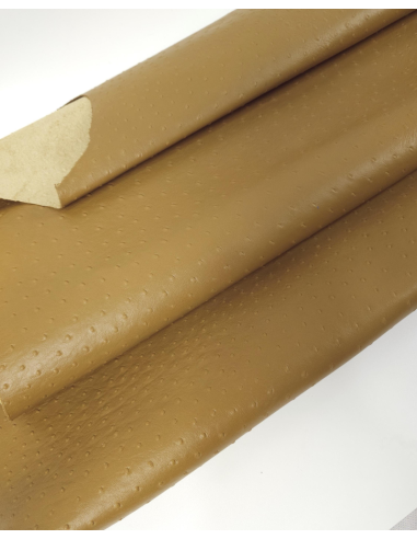 Wood Trush Ostrich 2024 Embossed Texture Leather