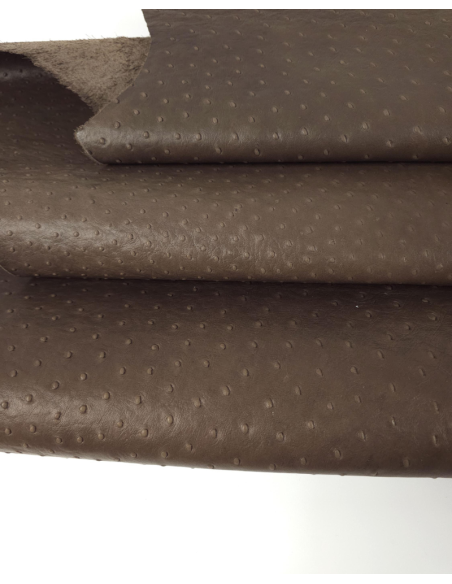 Pinecone Ostrich 2024 Embossed Texture Leather