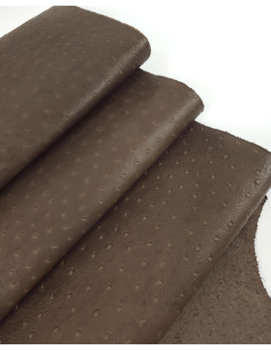 Pinecone Ostrich 2024 Embossed Texture Leather
