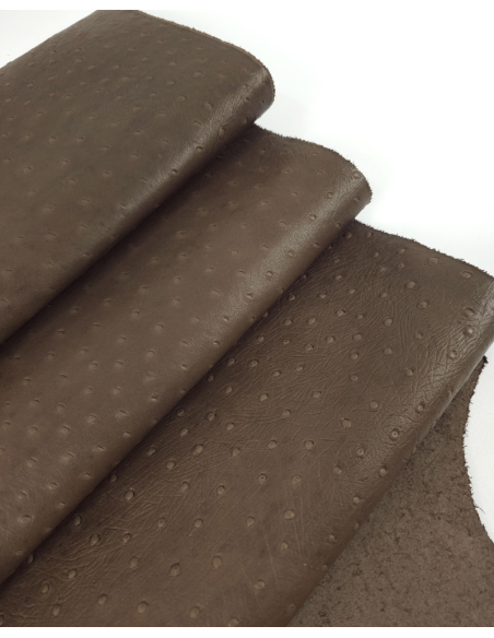 Pinecone Ostrich 2024 Embossed Texture Leather