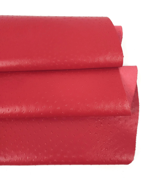 Haute Red Ostrich 2024 Embossed Texture Leather