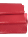 Haute Red Ostrich 2024 Embossed Texture Leather