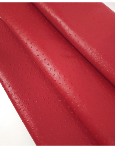 Haute Red Ostrich 2024 Embossed Texture Leather