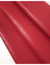 Haute Red Ostrich 2024 Embossed Texture Leather