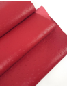 Haute Red Ostrich 2024 Embossed Texture Leather
