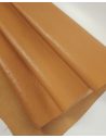 Golden Orange Ostrich 2024 Embossed Texture Leather