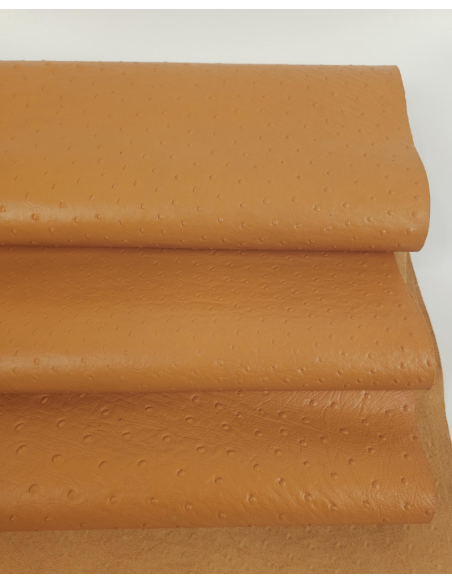 Golden Orange Ostrich 2024 Embossed Texture Leather