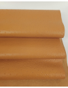 Golden Orange Ostrich 2024 Embossed Texture Leather