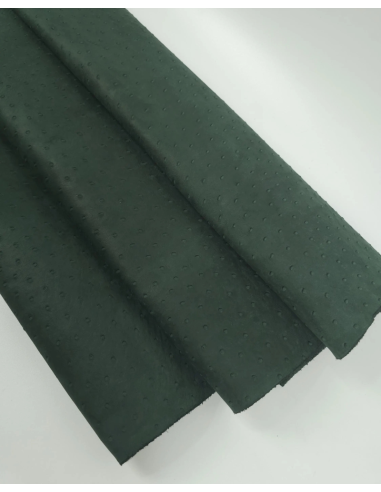 Garden Topiary Ostrich 2024 Embossed Texture Leather