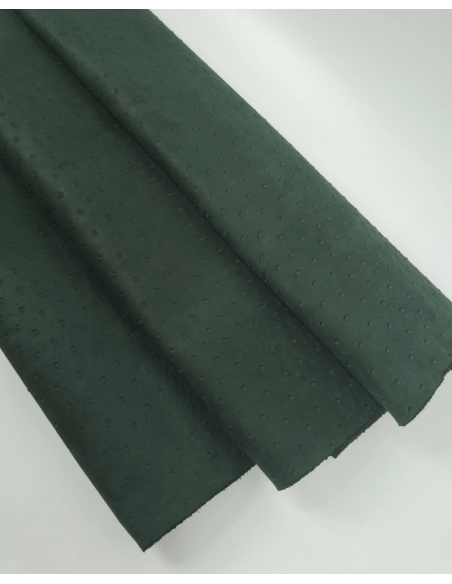 Garden Topiary Ostrich 2024 Embossed Texture Leather