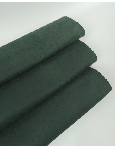 Garden Topiary Ostrich 2024 Embossed Texture Leather