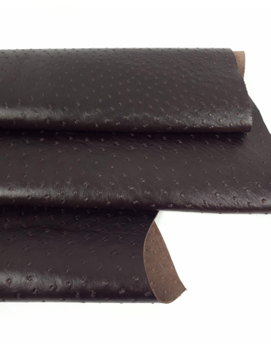 Chicory Coffee Ostrich 2024 Embossed Texture Leather