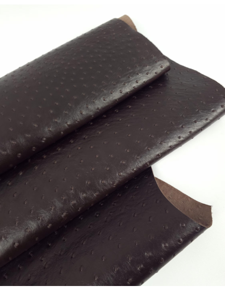 Chicory Coffee Ostrich 2024 Embossed Texture Leather