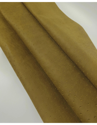 Medal Bronze Ostrich 2024 Embossed Texture Leather