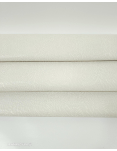 Off White Iguana Embossed Texture Leather 2