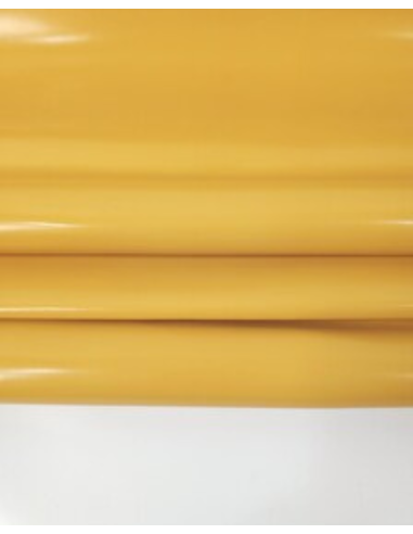 Mango Mojito Detroit Premium Glossy Surface Shine Appearance Leather