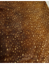 Deer 26 Hair on Hide Leather