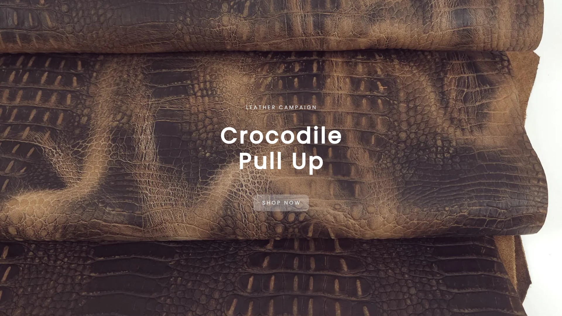 Croco 2018 v2 Pull Up